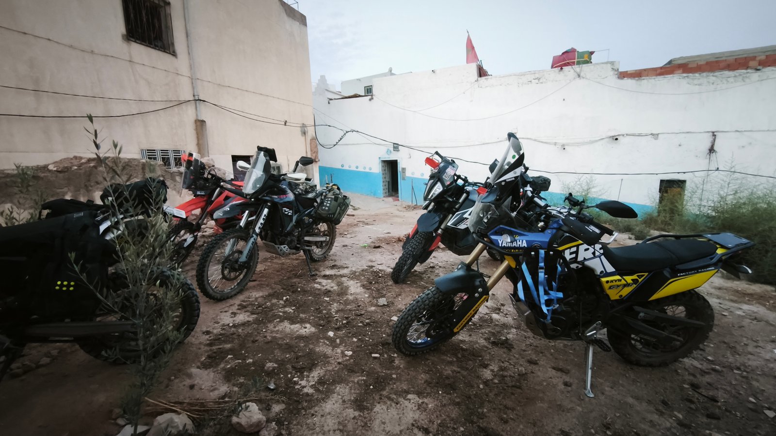 img 20260908 064011
